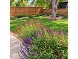 720 Ponderosa Dr - Photo 27