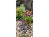 720 Ponderosa Dr - Photo 30