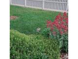 720 Ponderosa Dr - Photo 31