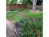 720 Ponderosa Dr - Photo 32