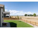 66 Blue Fortune Dr - Photo 37