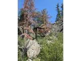 32 Horseshoe Bend Rd - Photo 9
