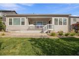 15993 Swan Mountain Dr - Photo 31