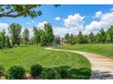 15993 Swan Mountain Dr - Photo 41