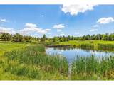 15993 Swan Mountain Dr - Photo 43