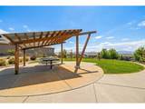 15993 Swan Mountain Dr - Photo 48