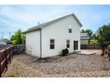 3009 Armadillo Ct - Photo 21