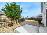 3009 Armadillo Ct - Photo 22