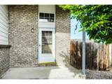3009 Armadillo Ct - Photo 3