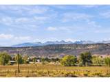 2075 Doyle Dr - Photo 44