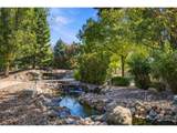 2075 Doyle Dr - Photo 5