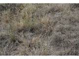 14801 County Road 8 - Photo 39