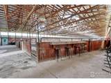 5525 State Highway 86 - Photo 2