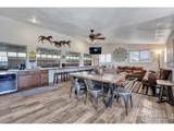 5525 State Highway 86 - Photo 3