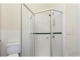 1517 Easy Rider Ln - Photo 15
