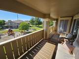 14167 Sun Blaze Loop - Photo 12