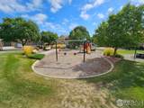 14167 Sun Blaze Loop - Photo 31