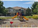 14167 Sun Blaze Loop - Photo 33