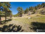  Tbd Dunraven Glade Rd - Photo 12