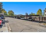 2984 Shady Holw - Photo 30