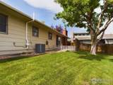 3807 11th St - Photo 21