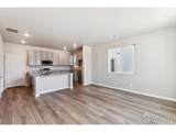 290 Scaup Ln - Photo 5