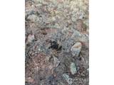 0 Slater Creek Rd - Photo 19