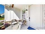 3045 Trilby Rd - Photo 38