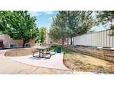 6702 Desert Willow Way - Photo 24