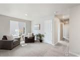 305 Shoveler Way - Photo 19