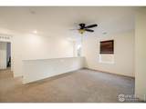 13725 Ash Cir - Photo 14