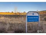 13725 Ash Cir - Photo 25