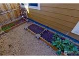 13725 Ash Cir - Photo 30