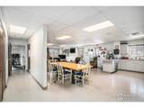 2817 Overland Trl - Photo 19