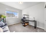 751 Crossbill Dr - Photo 21