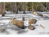 3 Sagamore Trl - Photo 10