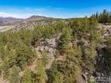 9316 Tawny Lynx Rd - Photo 13