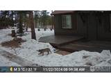 188 Snake Lake Dr - Photo 28