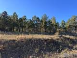 938 Snow Top Dr - Photo 4