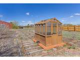 9951 Sierra Vista Rd - Photo 29