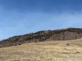 14750 Buckhorn Rd - Photo 33