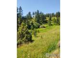 4444 Sunshine Canyon Dr - Photo 3