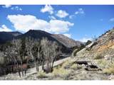 32370 Poudre Canyon Rd - Photo 2