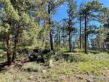 27271 Log Trl - Photo 1
