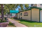 1100 Bacchus Dr - Photo 33