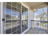 5151 29th St - Photo 26