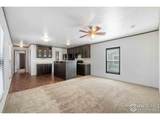 435 35th Ave - Photo 3