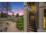 5225 White Willow Dr - Photo 1