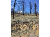 3600 Moondance Way - Photo 10