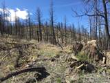 3600 Moondance Way - Photo 12